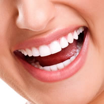 Endodontie (Wurzelbehandlung und Wurzelspitzen-Resektion)